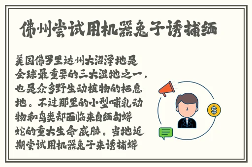 黑色爆料每日分享大件事
